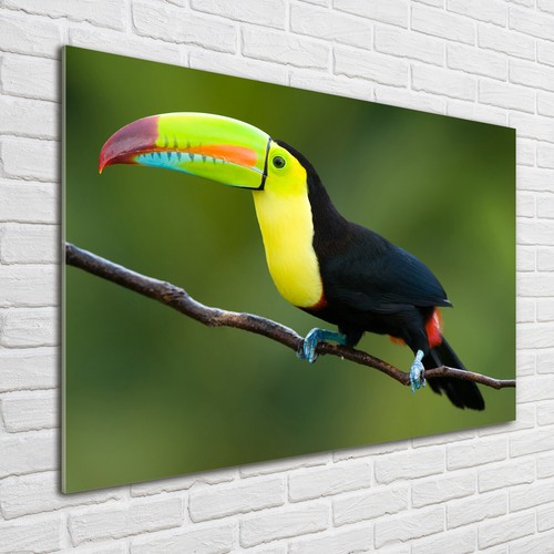 Quadro immagine arte parete - immagine,