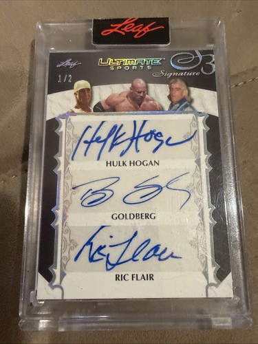 Hulk hogan goldberg - hogan, ric