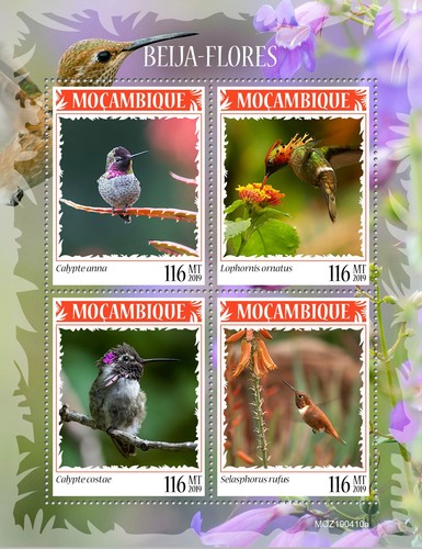 Francobolli colibrì colibri - francobolli,