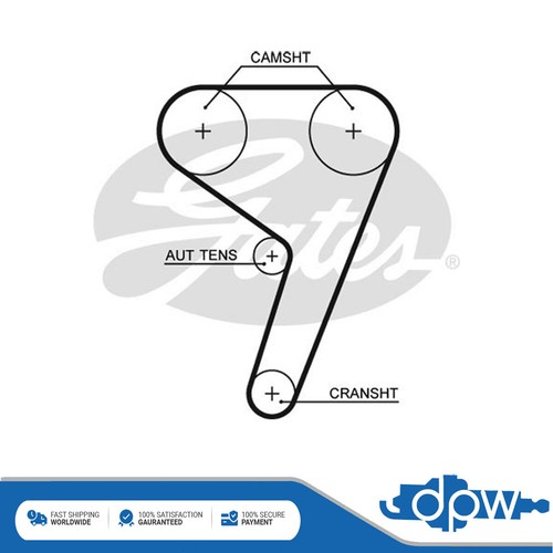 Cinghia distribuzione dpw - distribuzione,