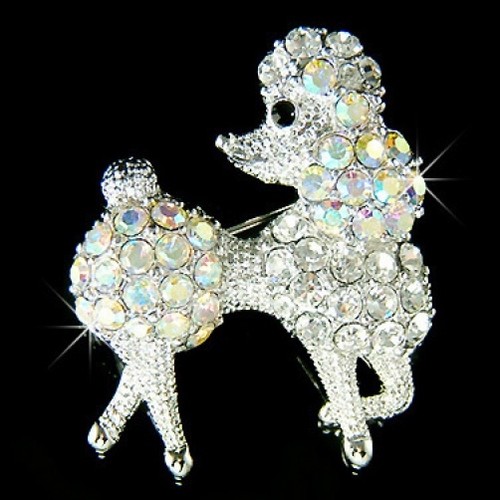 Francese bianco cane - ab,