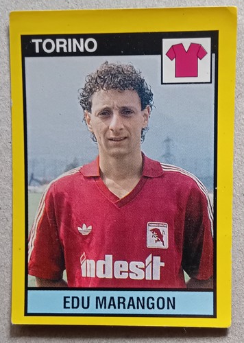 Figurina vallardi 1988 - 1988-89, il