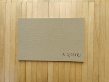 Bice Lazzari - La fragilità e