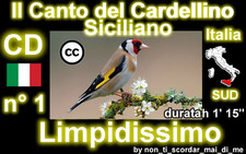 CANTO DEL CARDELLINO SICILIANO ANCHE PER INCARDELLATI NOVELLI CD LIMPIDISSIMO  