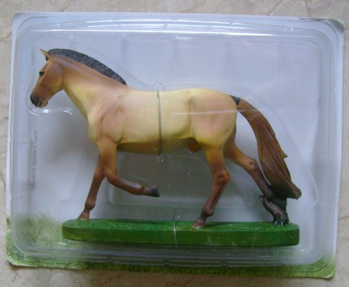 Cavalli miniature - cavalli,