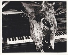 Un chien andalou Luis Buñuel