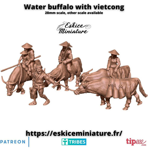 Guerra vietnam bufalo - bufalo, d'acqua