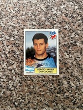 ARGENTINA GOYCOCHEA N.245