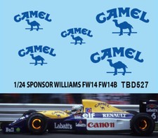 1/24 Decals per Williams FW14