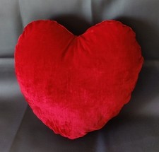 Set of 2 inner velvet cushions