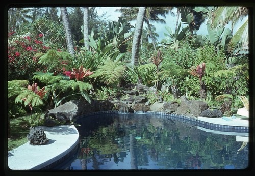 1975 hawaii piscina cascata - 1975,