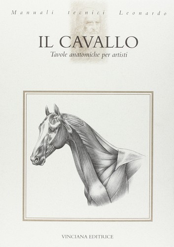 Cavallo tavole anatomiche - tavole,