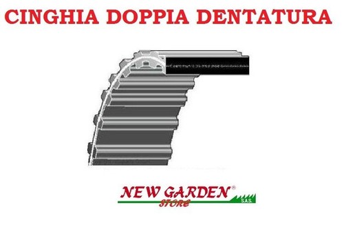 Cinghia dentata piatto