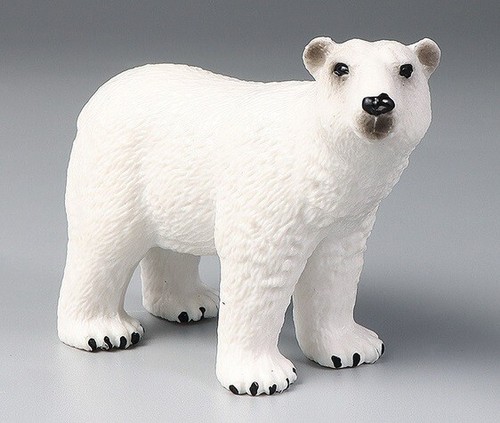 Orso polare animale marino - polare,
