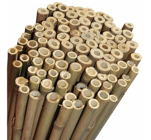 Niccolai canne bamboo - canne, per