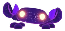 Granchio gloria neon adotta - |,