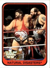card wwf wrestling merlin 1991