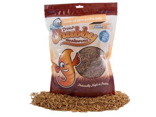 2lbs chubby dried mealworms - chubby,