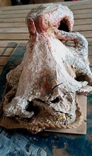 Scultura argilla Polpo Femmina