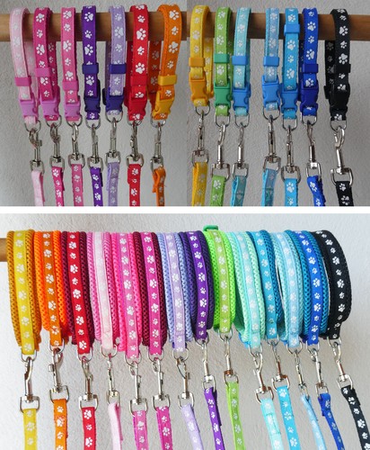 Set guinzaglio collare - , per