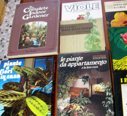 Arredare casa con piante - casa,