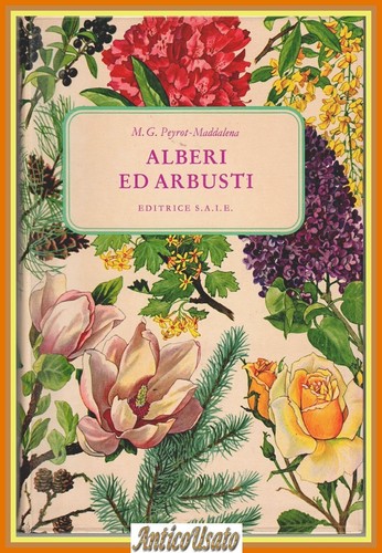 Alberi arbusti mg - alberi, di