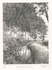 ZALIANI AGOSTINO " SEDUCENTE