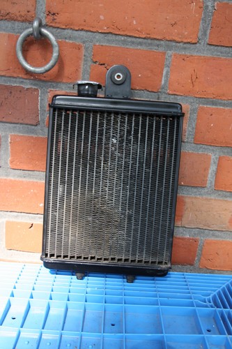 Radiatore aprilia classic 125 - radiatore,