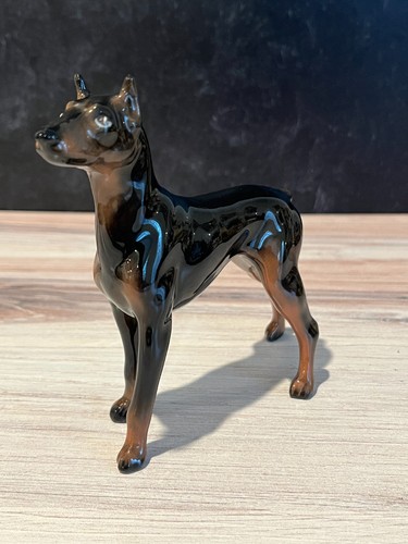 Mortens studio doberman - studio, "doberman