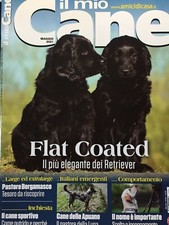 Il mio cane 2021 291.Flat