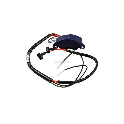 Centralina elettrica evinrude - centralina,