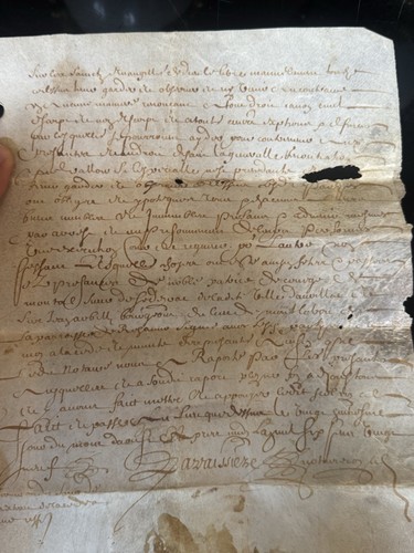 Pergamena manoscritto histoire - manoscritto,