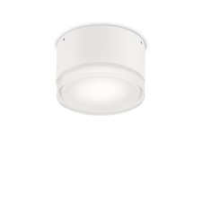 Modern Outdoor Design Ceiling