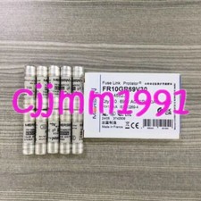 10PCs NEW   Fuse FR10GR69V30