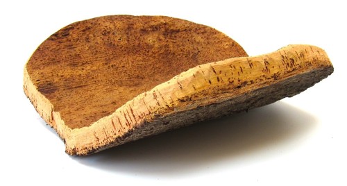 Cork tray from - tray, sardinia