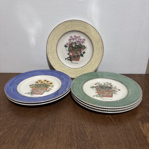 Set piatti insalata - set,