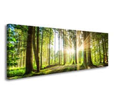 Quadro su tela Quadri moderni