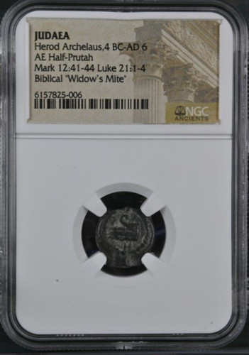 Ngc erode archelao 6 - erode,