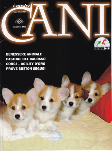 Nostri cani 10 - nostri,