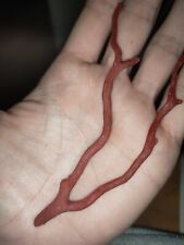 Ramo Di Corallo Rosso Di Alghero (Sardegna). 22 Carati, 4.4 Grammi.