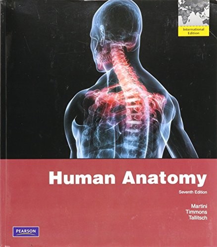 Human anatomy international - human,