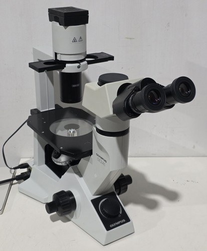 Olympus ckx41 microscopio - ckx41,