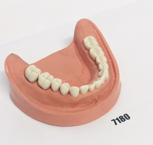 Kavo modello dentale - dentale,