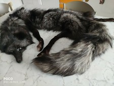 Collo di pelliccia