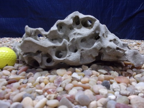 Texas holey rock - holey,
