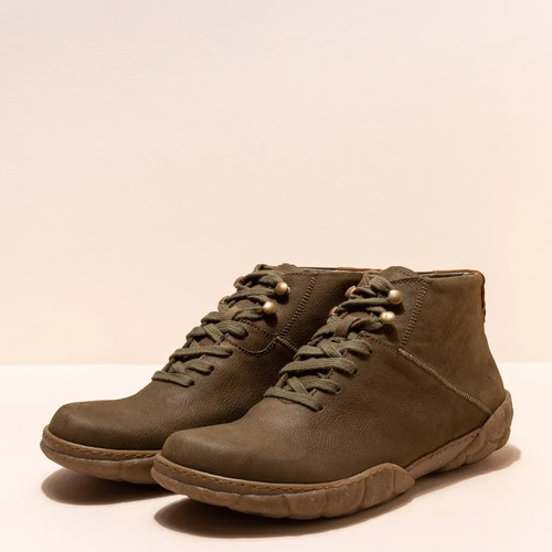 Tartaruga naturalista n5083 - tartaruga, el