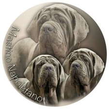 MASTINO NAPOLETANO Adesivi