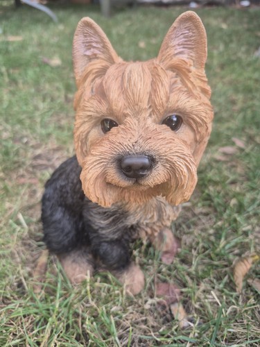 Vivid arts yorkshire - vivid, terrier