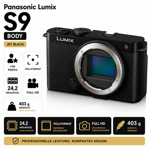 Panasonic lumix corpo - dc-s9,