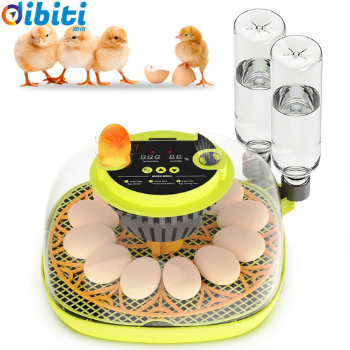 Incubatrice per uova - incubatrice,